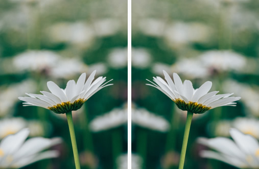 Flip photo
